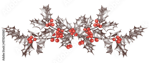 Holly berry vector garland in vintage style