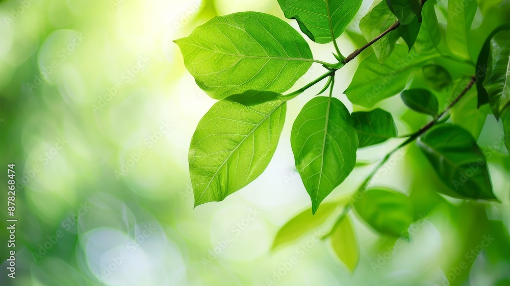 Serene Green - Fresh Vibrant Leaves Against Minimalist Backdrop Serene Green - Fresh Vibrant Leaves Against Minimalist Backdrop