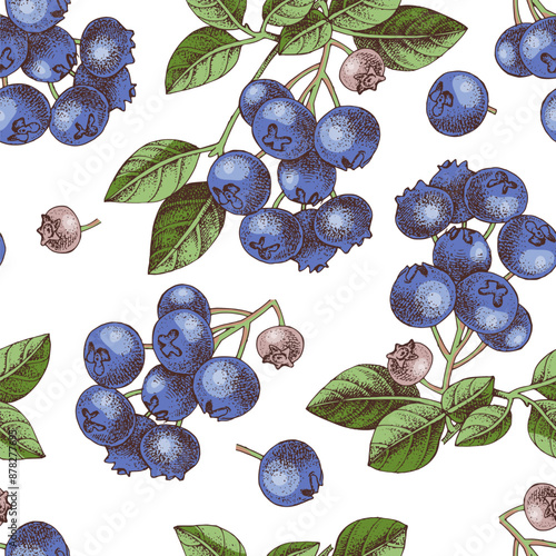 Seamless pattern with blueberries branches