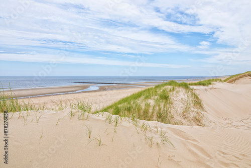 Fototapeta Naklejka Na Ścianę i Meble -  North Sea beach and dunes at Julianadorp, The Netherlands