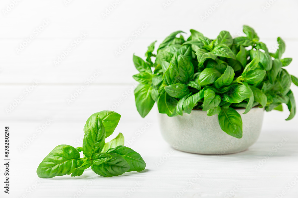 Green basil leaves on a textured wooden background. Kitchen herbs, spices. Fresh green organic basil. Vegan. Greens for salad. Place for text. Copy space. Green basil leaves on a textured wooden background. Kitchen herbs, spices. Fresh green organic basil. Vegan. Greens for salad. Place for text. Copy space.