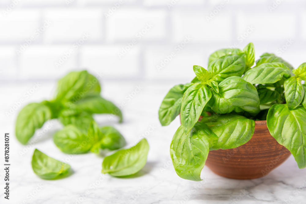 Green basil leaves on a textured wooden background. Kitchen herbs, spices. Fresh green organic basil. Vegan. Greens for salad. Place for text. Copy space. Green basil leaves on a textured wooden background. Kitchen herbs, spices. Fresh green organic basil. Vegan. Greens for salad. Place for text. Copy space.