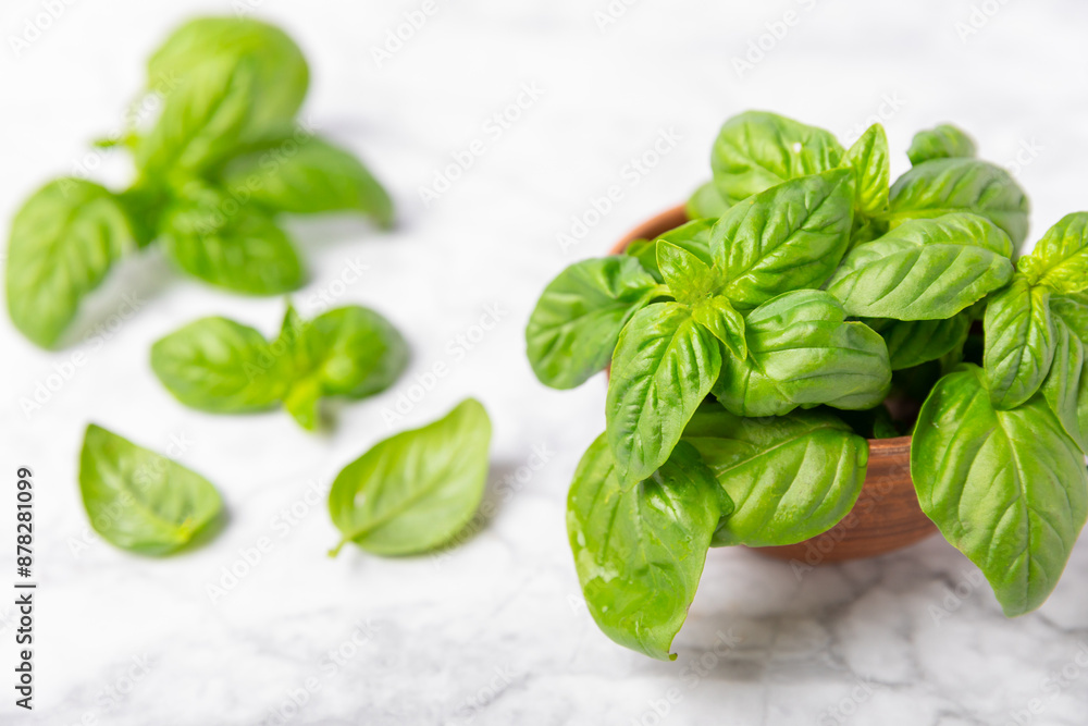 Fototapeta premium Green basil leaves on a textured wooden background. Kitchen herbs, spices. Fresh green organic basil. Vegan. Greens for salad. Place for text. Copy space.