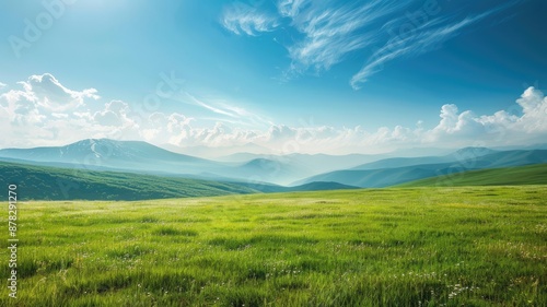 Expansive green meadow with mountains and bright blue sky