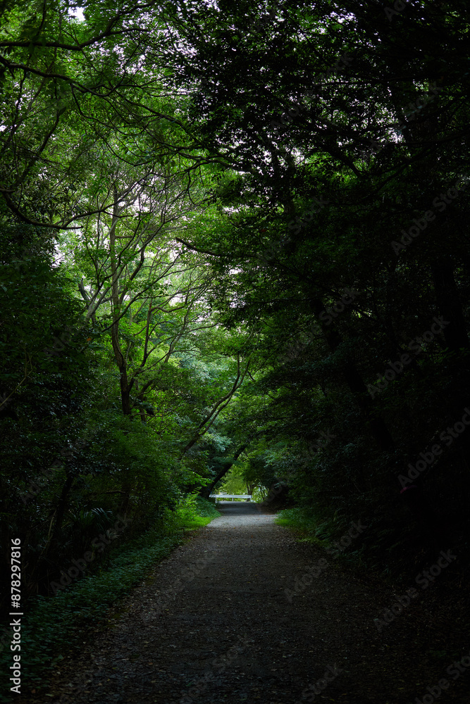 Fototapeta premium 公園の風景