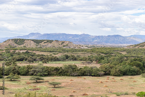 landscape with trees and mountains