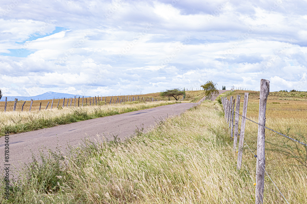 Obraz premium road in the field