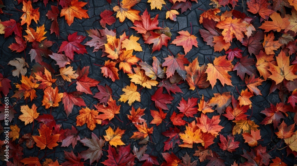 An array of colorful autumn leaves scattered on the ground, representing the rich tapestry of fall's natural beauty. An array of colorful autumn leaves scattered on the ground, representing the rich tapestry of fall's natural beauty.