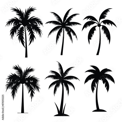 Black palm tree set vector illustration on white background silhouette art black white stock illustration