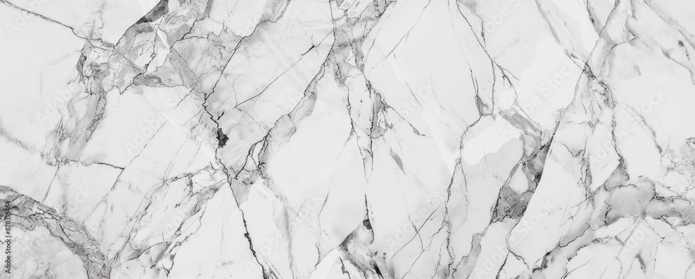 Obraz premium White marble texture with intricate veining