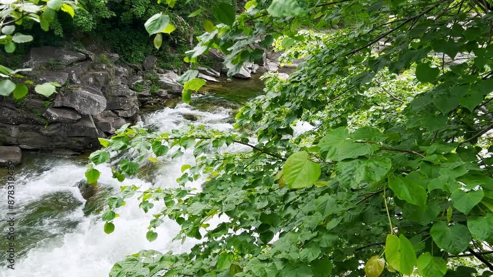 Water flow in a mountain river, top view. Water flow in a mountain river, top view.