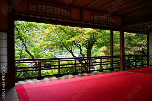 青紅葉が美しい京都府長岡京の楊谷寺 上書院