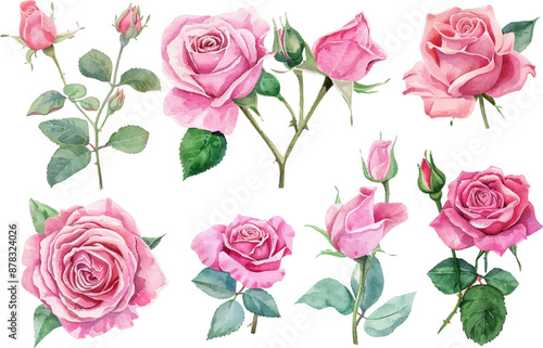 Watercolor pink roses drawing, Pink roses flower printable, Watercolor pink roses sketch, Pink roses flower motif, Watercolor pink roses