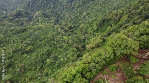 A hut with a tin roof in the middle of the forest seen from a drone photo