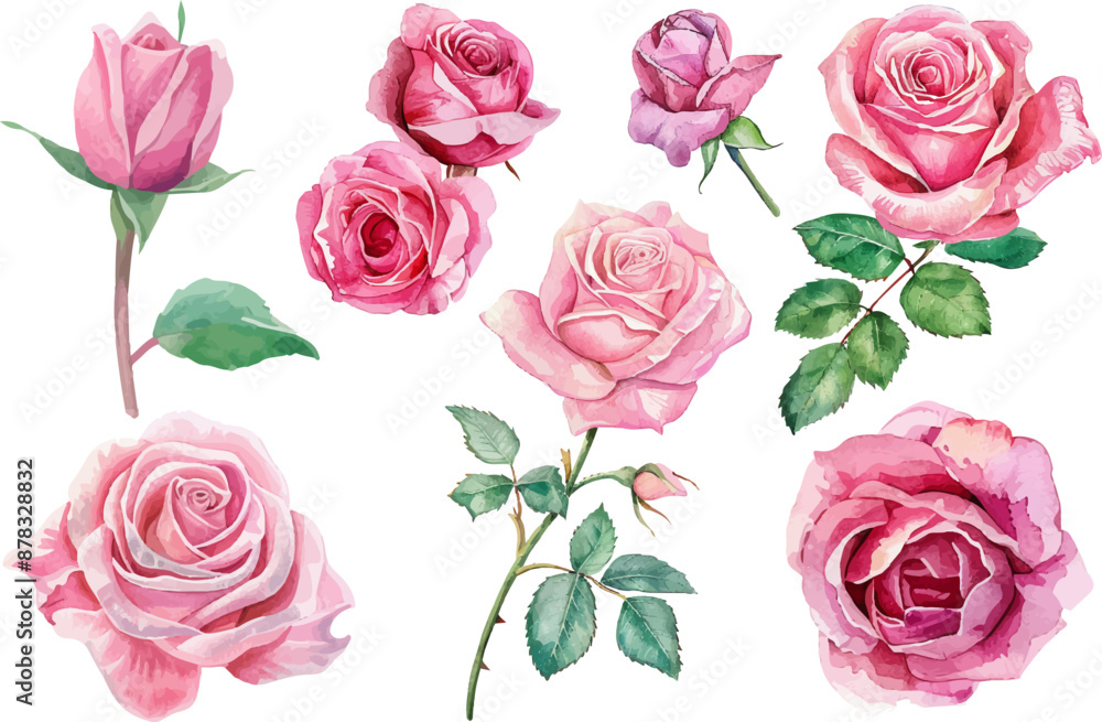 Pink roses flower clipart, Watercolor pink roses Pink roses flower clipart, Watercolor pink roses