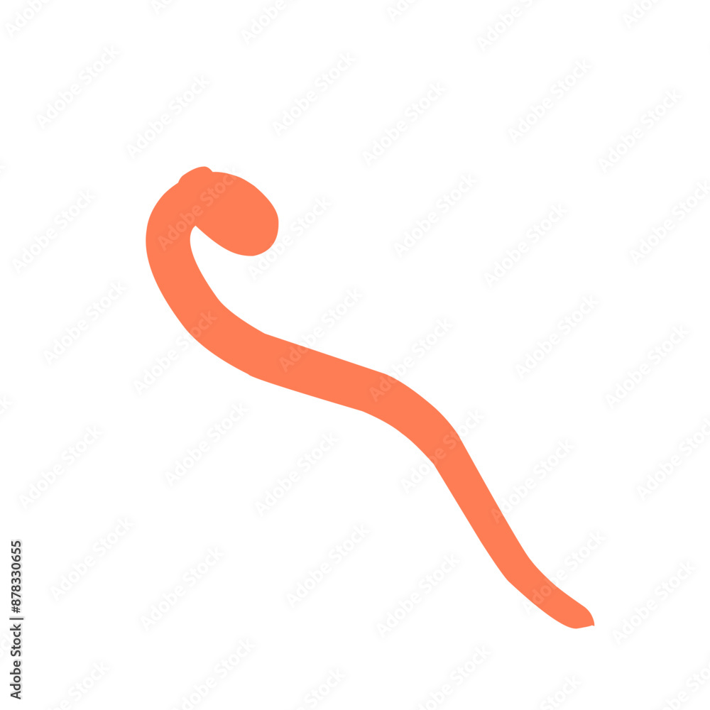 Calligraphic swirl flourish collection Calligraphic swirl flourish collection