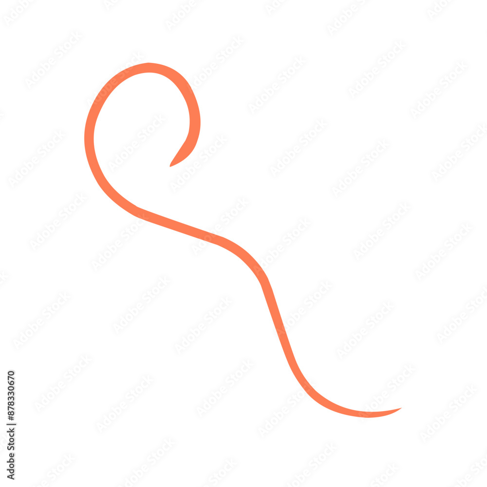 Calligraphic swirl flourish collection Calligraphic swirl flourish collection