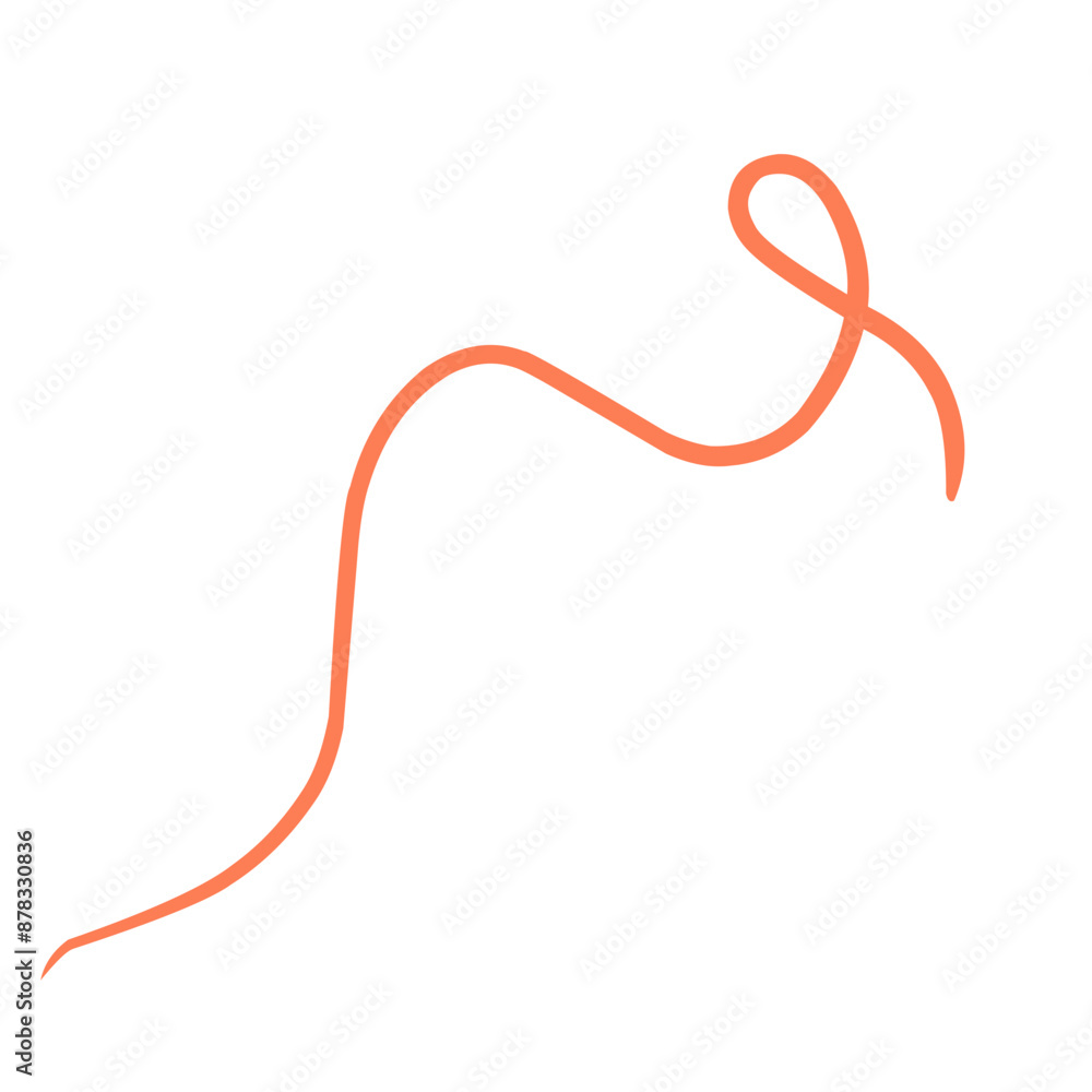 Calligraphic swirl flourish collection Calligraphic swirl flourish collection