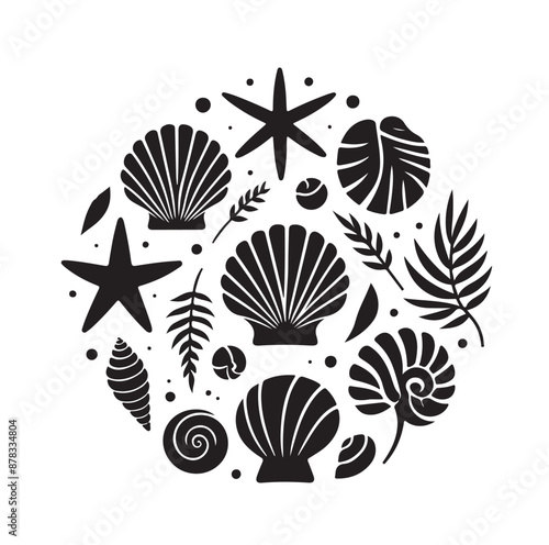 Set of different black sea shells and starfish vector illustration
