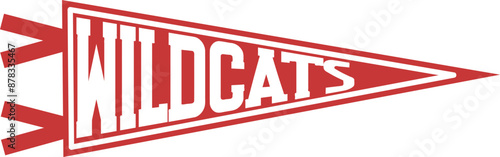 Wildcats Graphic 