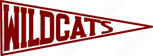 Wildcats Graphic 