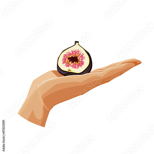 violet figs in the palm isolated on white background. Vector fruit clipart in flat style for design