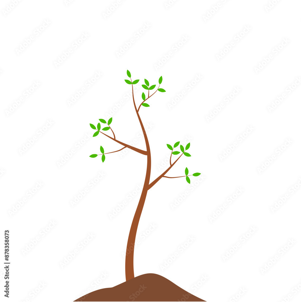 Obraz premium Growth Plant Tree Illustrations