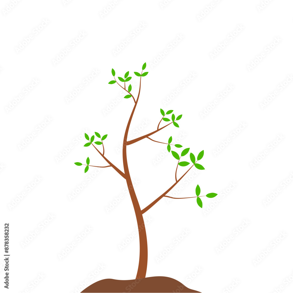 Obraz premium Growth Plant Tree Illustrations