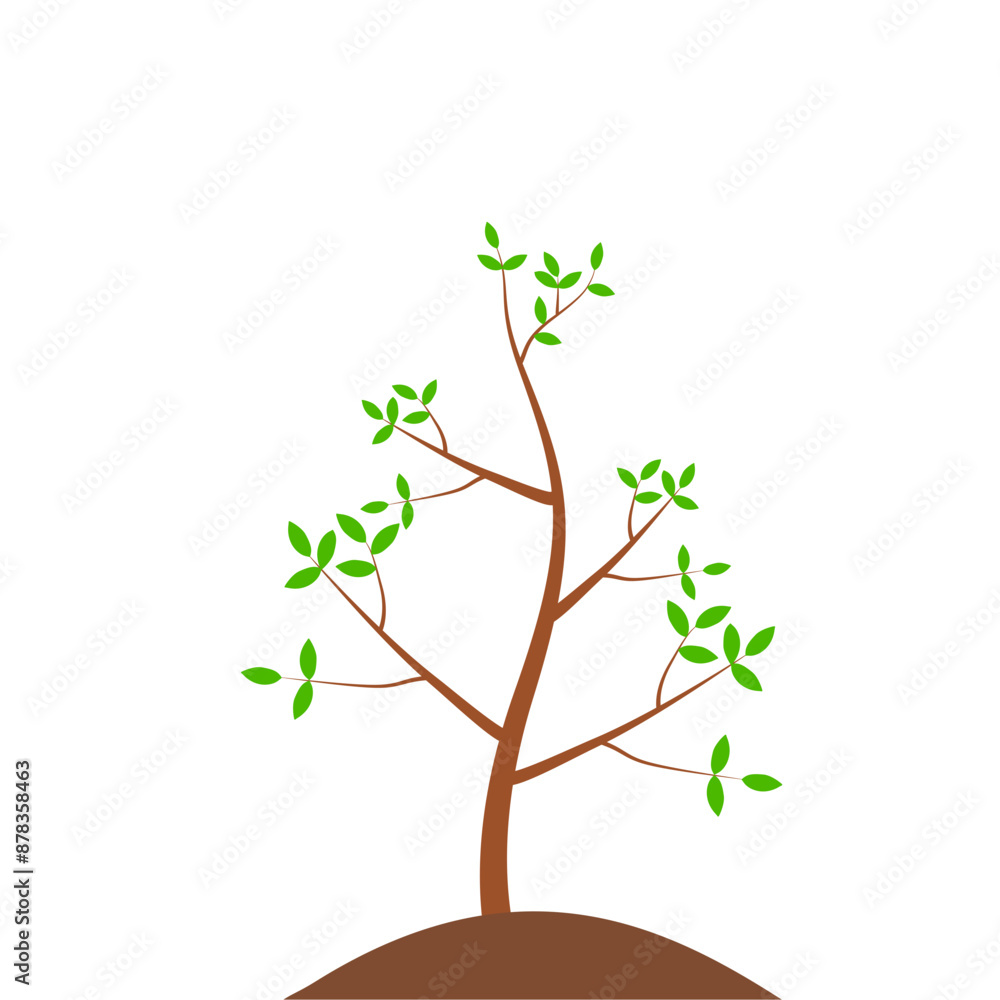 Obraz premium Growth Plant Tree Illustrations