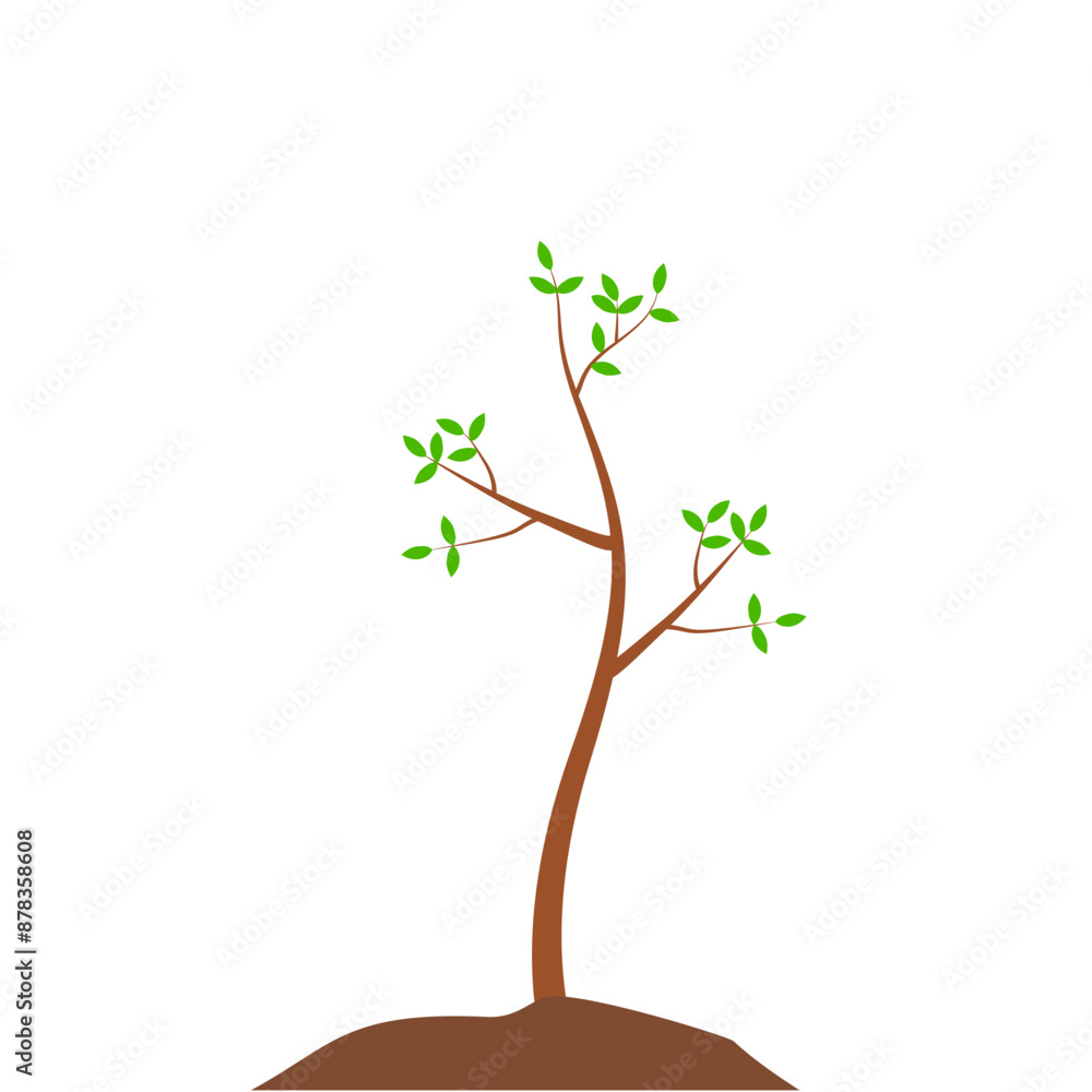 Obraz premium Growth Plant Tree Illustrations