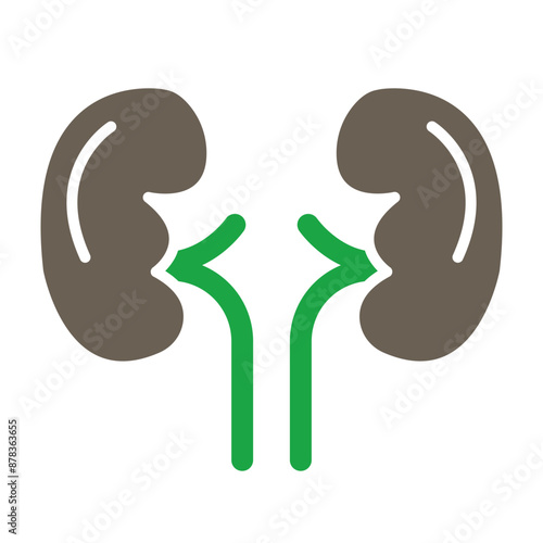 Kidneys Glyph Two Color Icon
