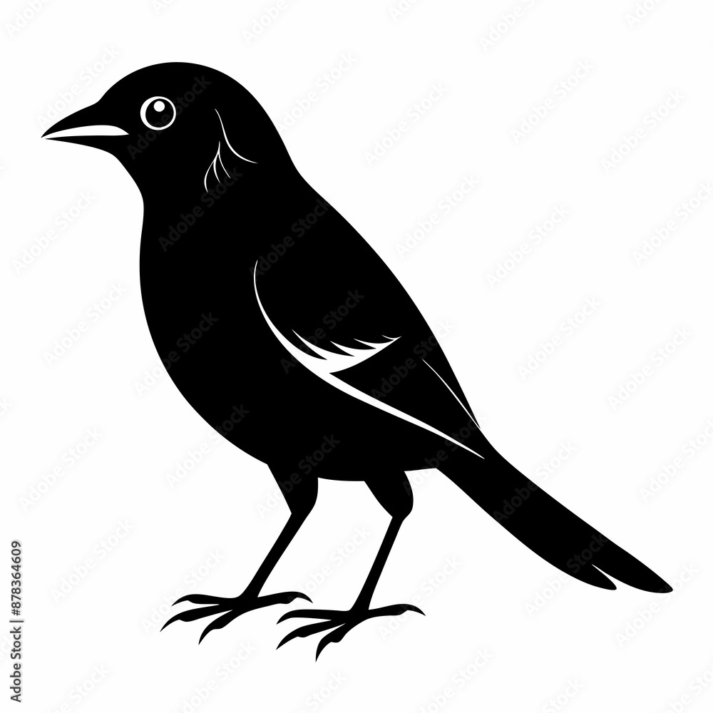 Fototapeta premium Shrike black silhouette