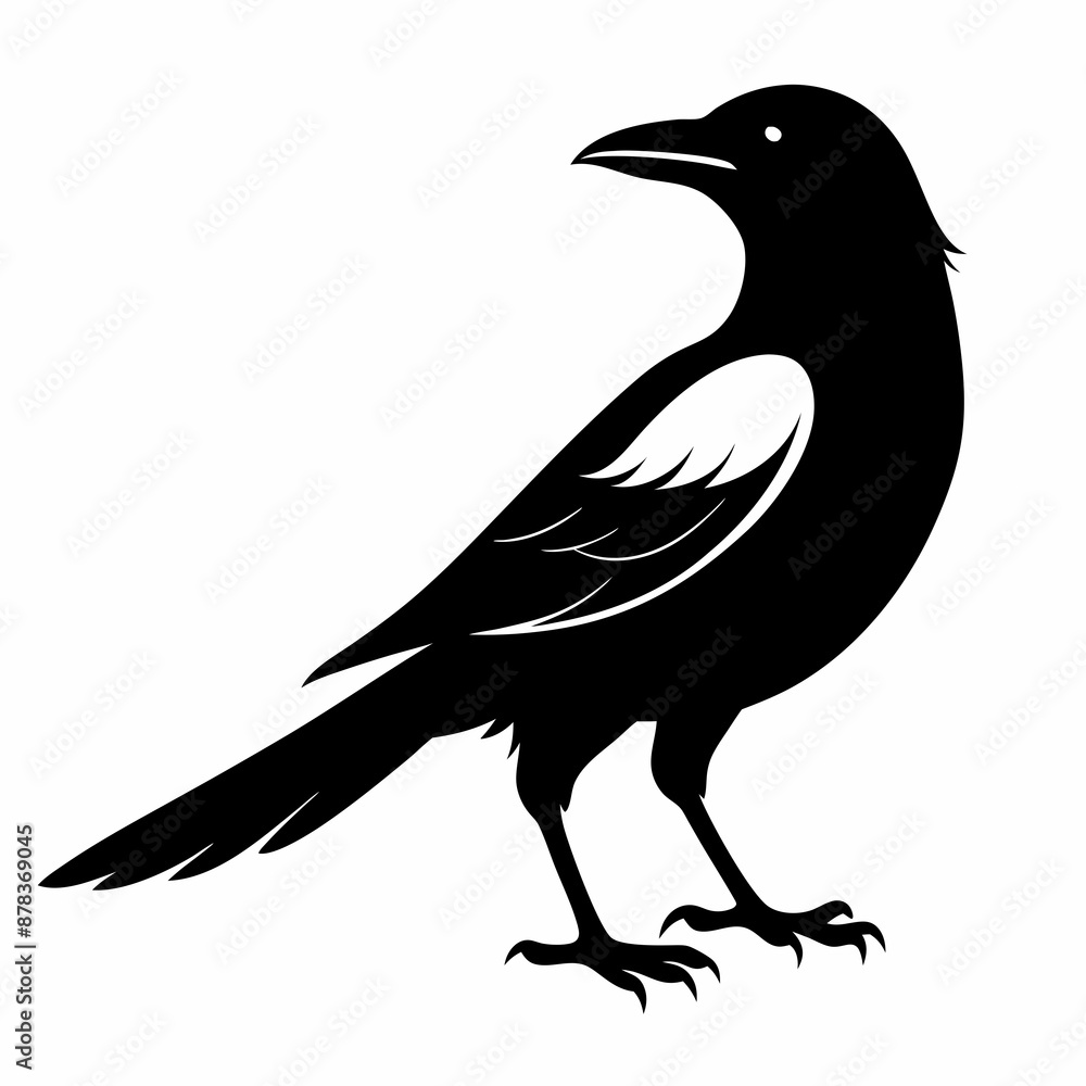 Obraz premium Magpie silhouette black