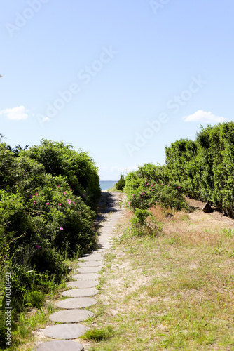 Pathway to the Beach