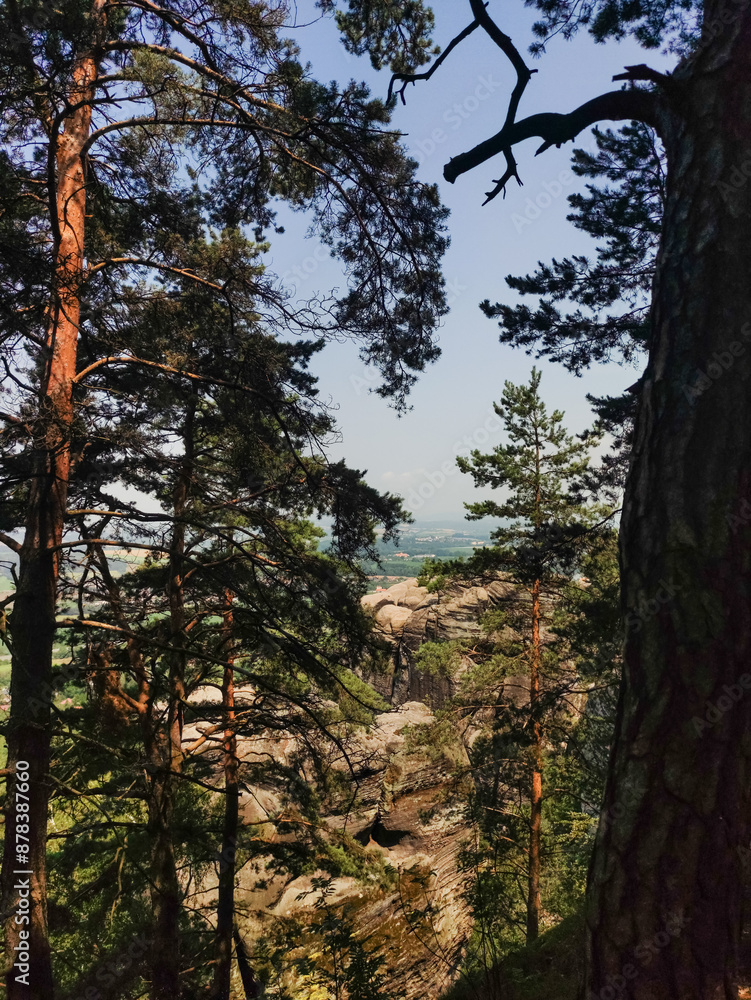Obraz premium Trees frame a view of a rocky landscape in a national park