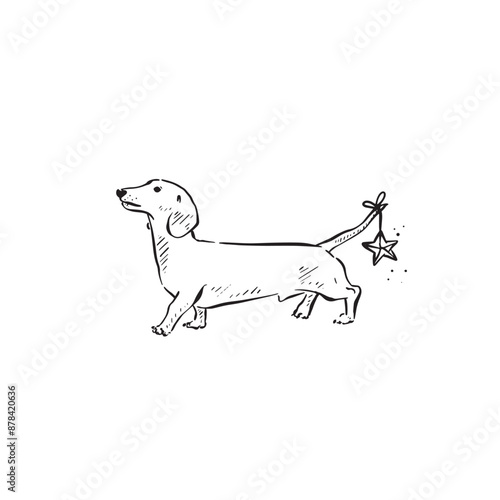 A cute dachshund or sausage dog wearing a little star decoration on his tail. Side profile walking dog, drawn by hand in black and white line.