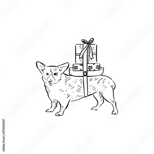 A corgi dog with presents on his back, drawn by hand in black and white. Line drawn in a sketch style. 