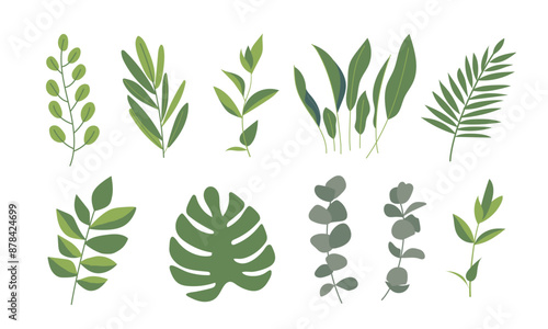 A collection of various ornamental plants, mainly greenery
