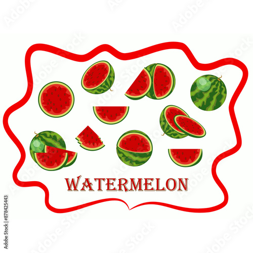 watermelon, drawn vector illustration. a set of juicy red fruits in whole and in pieces of different types. isolated on a white background