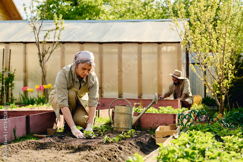 Foto Mature female farmer in workwear bending over long flowerbed and replanting gree