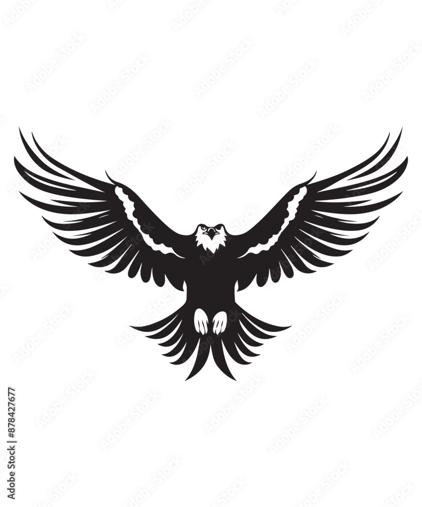 Fototapeta premium Best bold Eagle Silhouettes Images