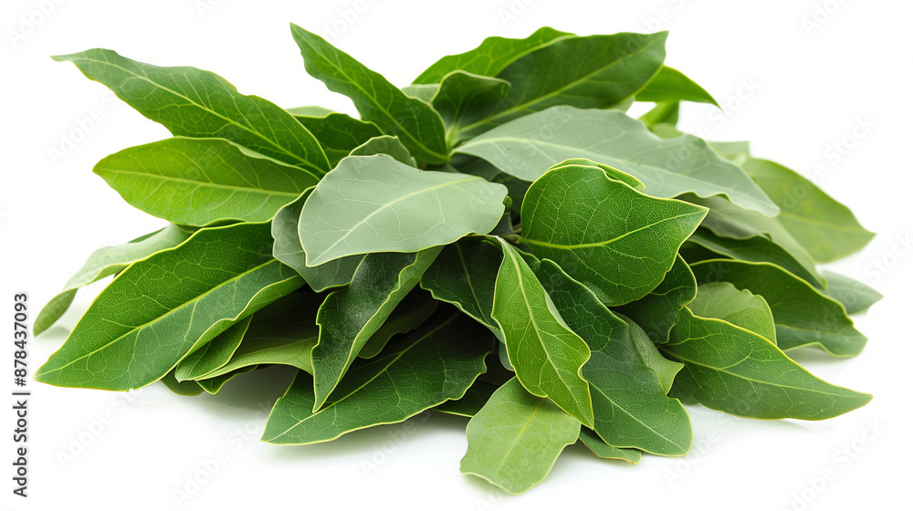 Bay leaves on a white background Bay leaves on a white background