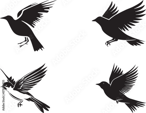 Flying birds vector image with illustration