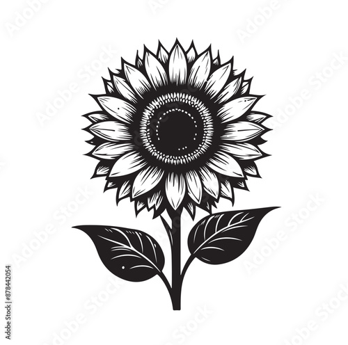 Sunflowers Silhouette vector illustration