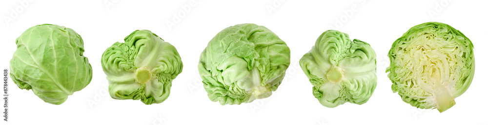 Fototapeta premium Cabbage set isolated on white background with clipping path. Close up background and texture of green leaves cut cabbage. Food background. Top view.