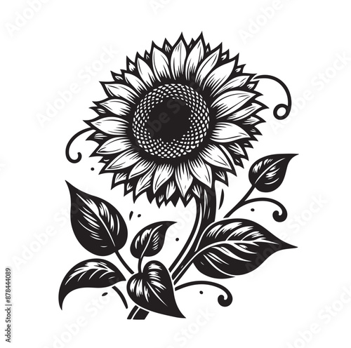 Sunflowers Silhouette vector illustration