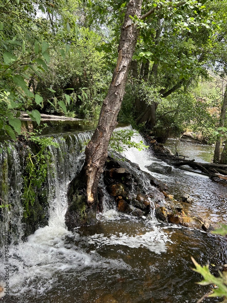 waterfall in the forest waterfall in the forest