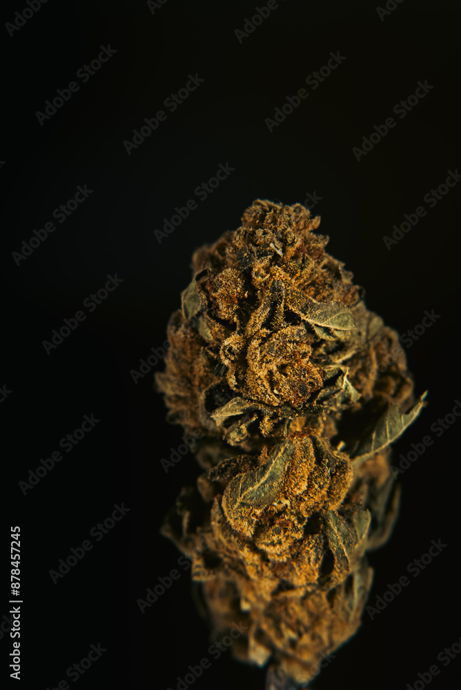 Cannabis flower Cannabis flower