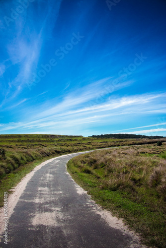Winding Road Through Dry Grasslands Under Bright Blue Sky