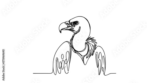 vulture head single line illustration